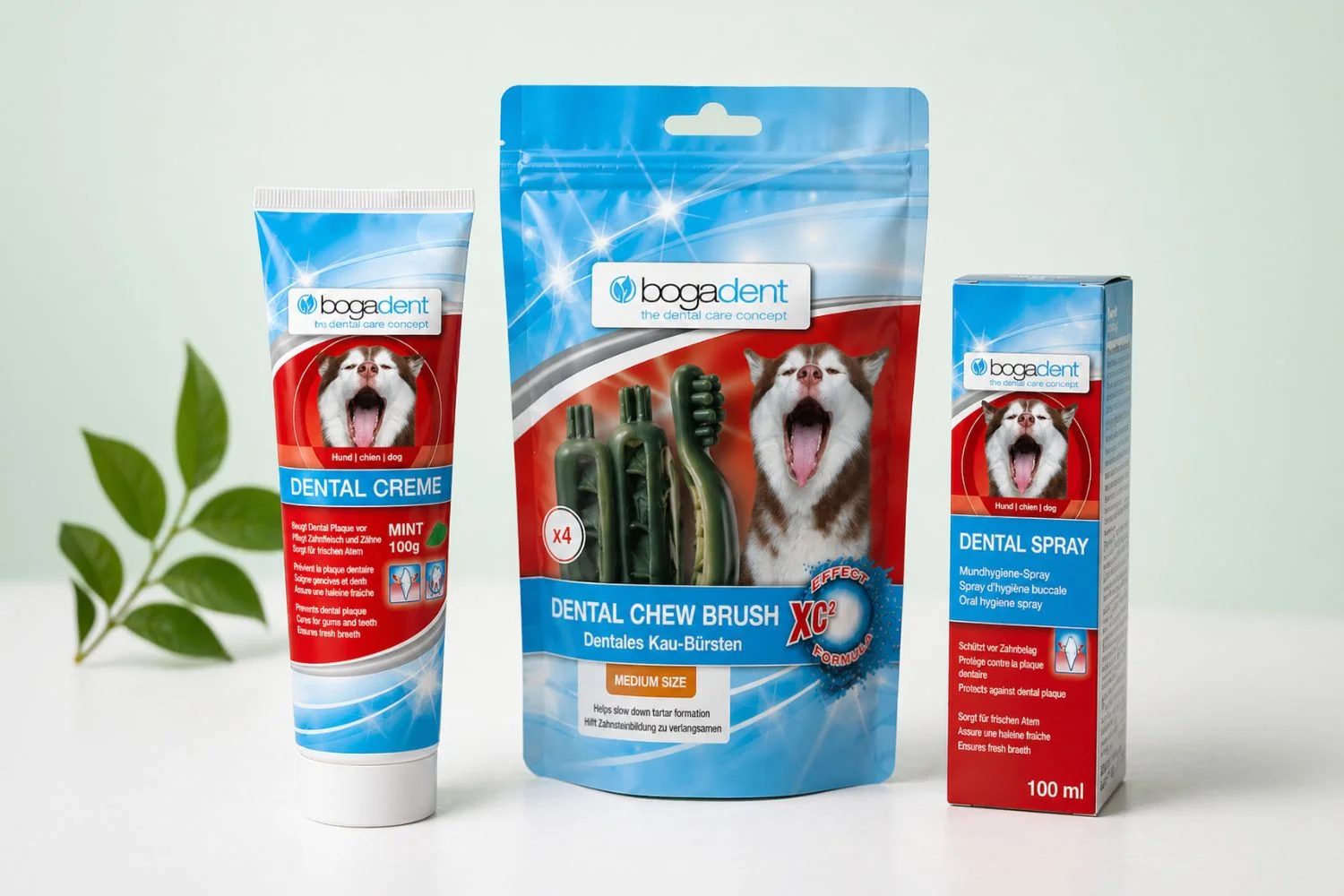 Higiena dentystyczna dla psów i kotów